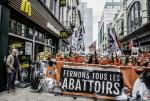 BELGIUM : MANIFESTATION À L'ABATTOIR DE BRUXELLES | BRUSSELS SLAUGHTERHOUSE PROTEST