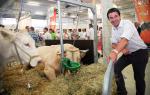 BELGIUM LIBRAMONT AGRICULTURE FAIR FIRST DAY