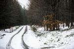 BELGIUM : PREMIERE NEIGE DANS LES ARDENNES BELGE - FIRST SNOW IN THE BELGIAN ARDENNES