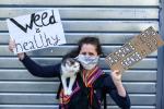 FRANCE : PARIS MANIFESTATION POUR LA LEGALISATION DU CANNABIS -  DEMONSTRATION FOR THE LEGALIZATION OF CANNABIS